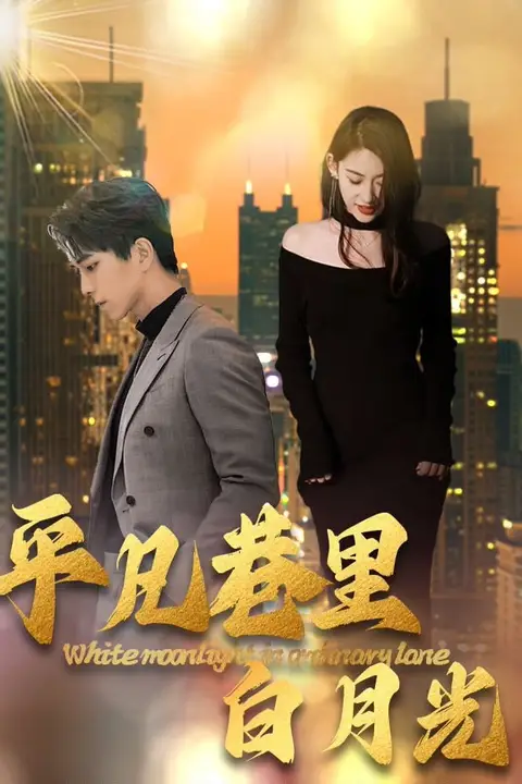 《平凡巷里白月光》封面