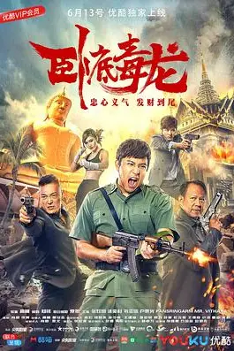 《卧底毒龙》封面