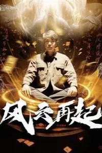 《风云再起（痴傻老爸竟是仙人）》封面