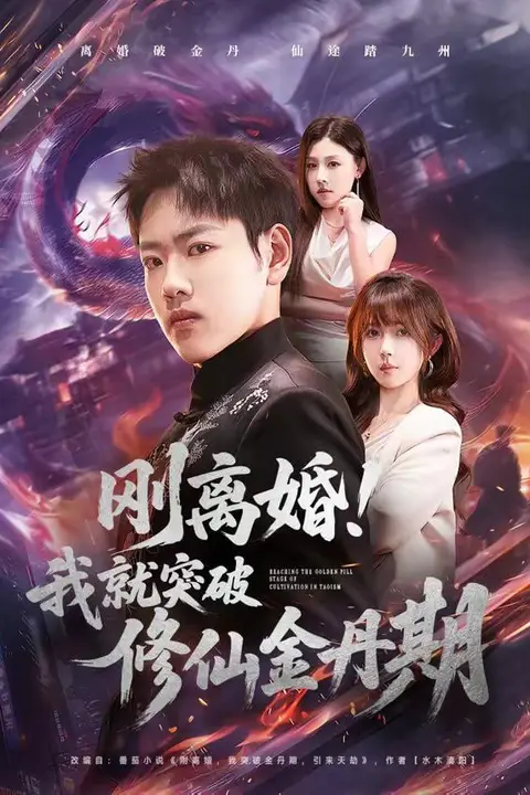 《刚离婚!我就突破修仙金丹期》封面