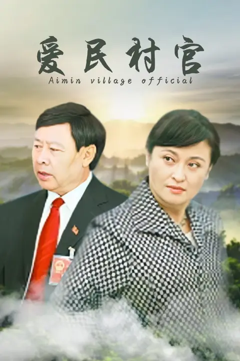 《爱民村官》封面
