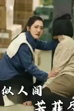 《恰似人间芳菲尽》封面