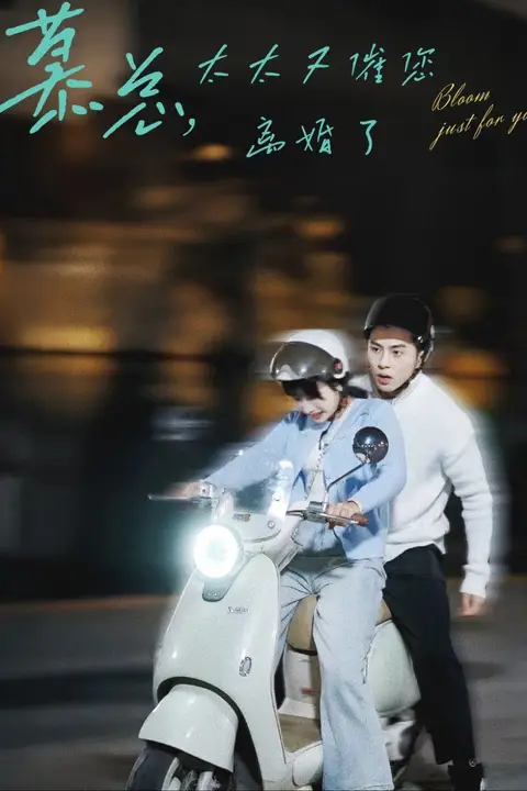《慕总太太又催您离婚了》封面
