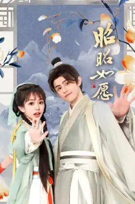 《昭昭如愿》封面