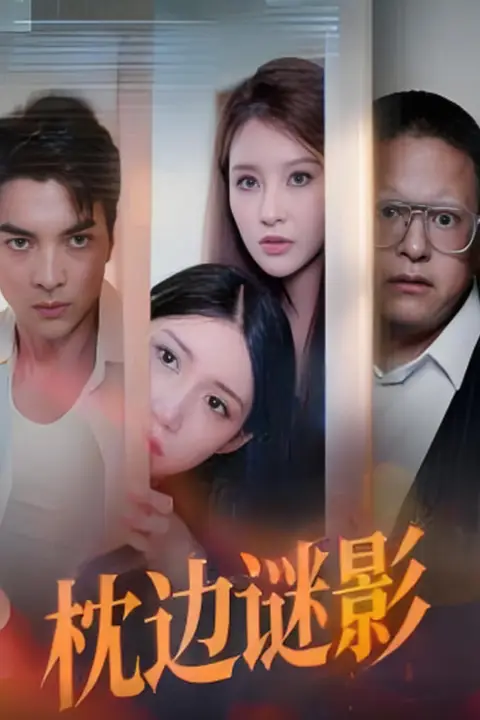 《枕边谜影（我撞破了妻子的秘密）》封面