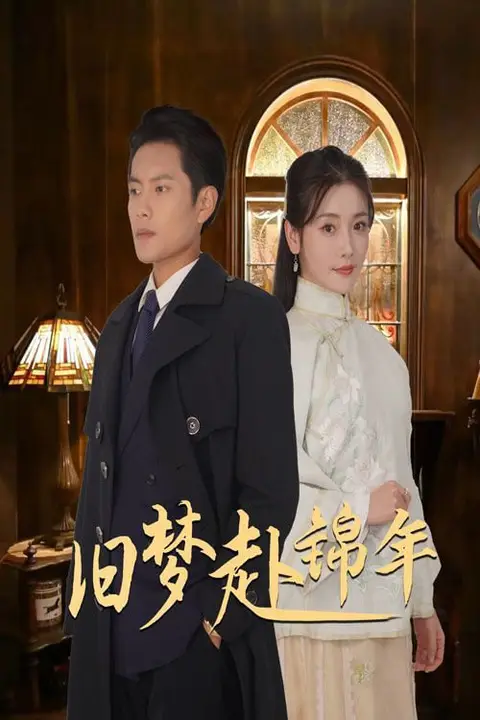 《旧梦赴锦年》封面