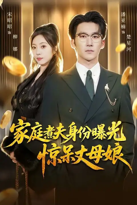 《家庭煮夫身份曝光惊呆丈母娘》封面