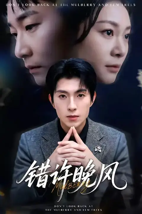 《错许晚风》封面