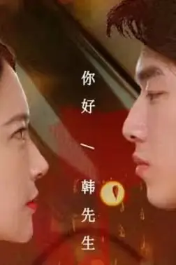 《韩先生的贴身女佣》封面