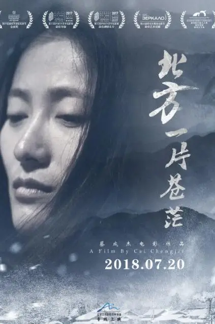 《北方一片苍茫》封面