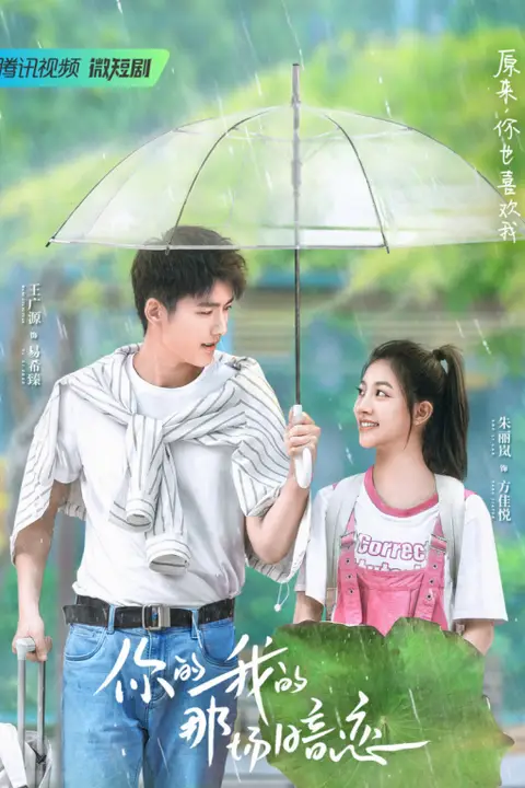 《你的我的那场暗恋》封面