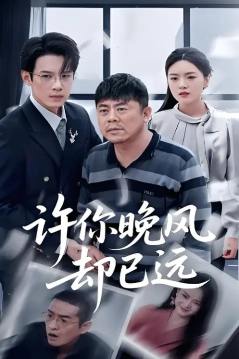 《许你晚风却已远》封面