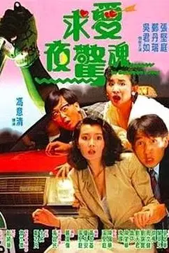 《求爱夜惊魂》封面