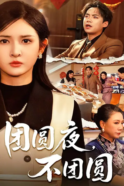 《团圆夜，不团圆》封面