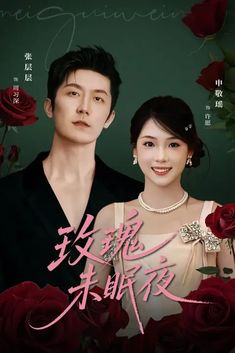 《玫瑰未眠夜》封面