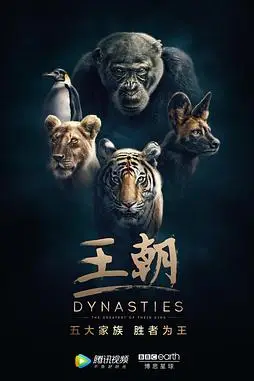 《王朝 第一季》封面