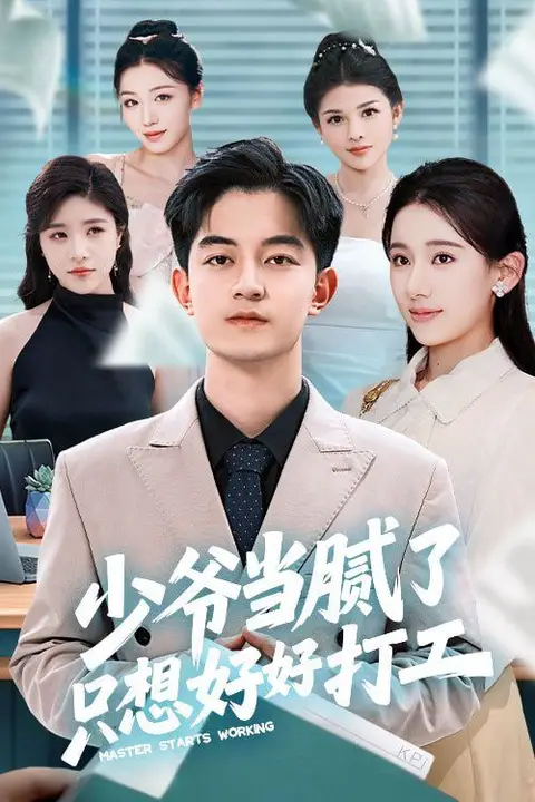 《少爷当腻了只想好好打工》封面