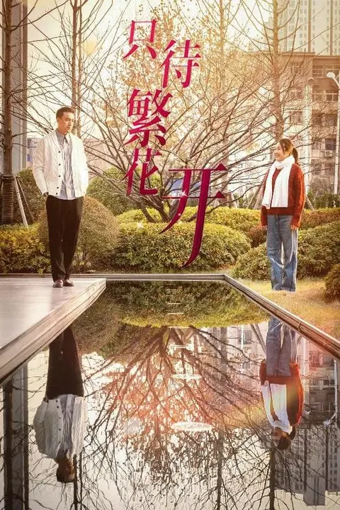《只待繁花开》封面