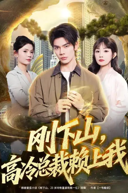《刚下山,高冷总裁赖上我》封面