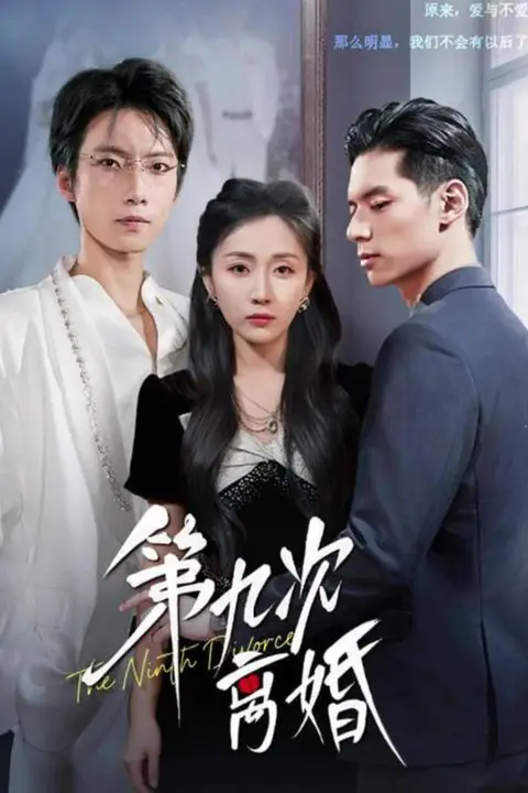 《第九次离婚》封面