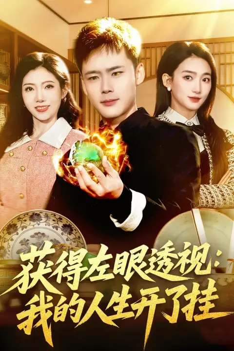 《获得左眼透视:我的人生开了挂》封面