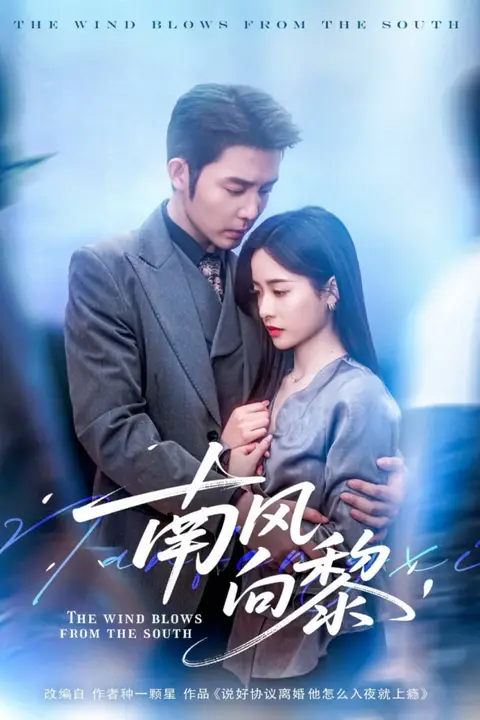 《南风向黎》封面