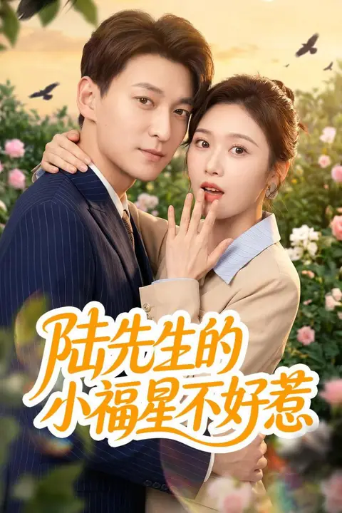 《陆先生的小福星不好惹》封面