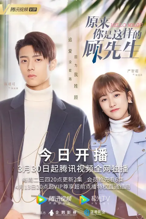 《原来你是这样的顾先生》封面