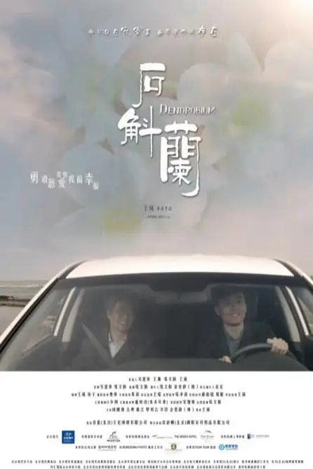 《石斛兰》封面