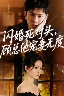 《闪婚死对头,顾总他宠妻无度》封面