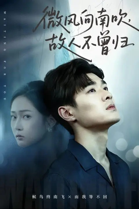 《微风向南吹,故人不曾归》封面