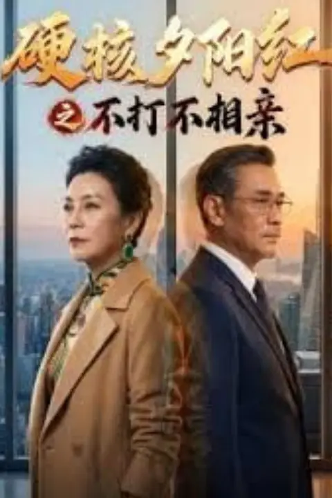 《硬核夕阳红之不打不相亲》封面