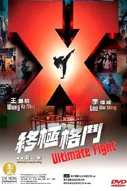 《终极格斗（国语版）》封面