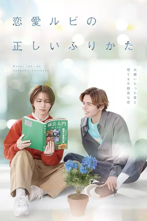 《恋爱的正确标记法》封面