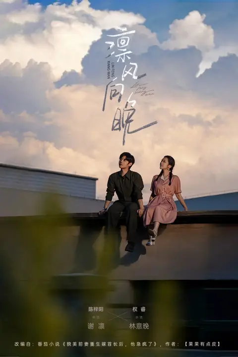 《凛风向晚》封面