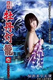 《妖美传奇新牡丹灯笼》封面