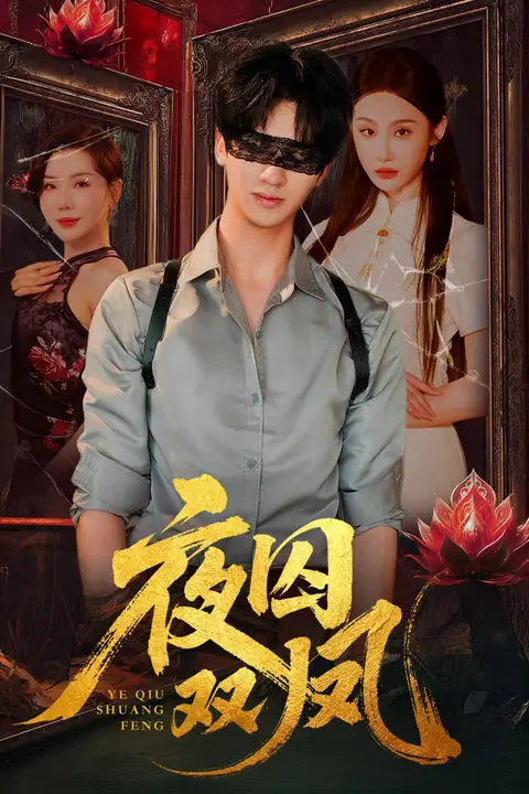 《夜囚双凤》封面