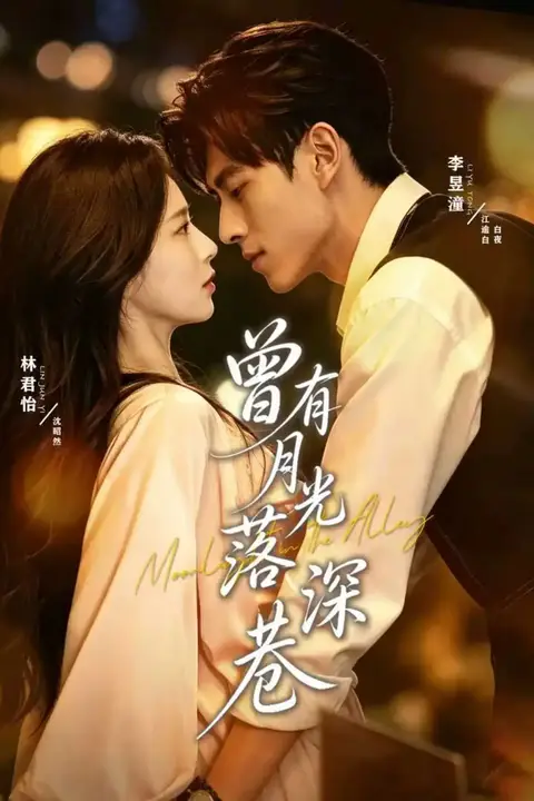 《曾有月光落深巷》封面