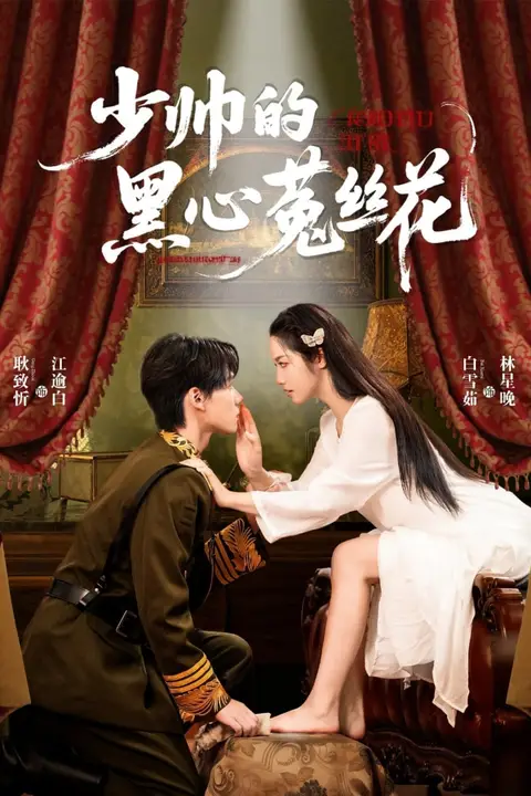 少帅的黑心菟丝花 第12集 高清封面图