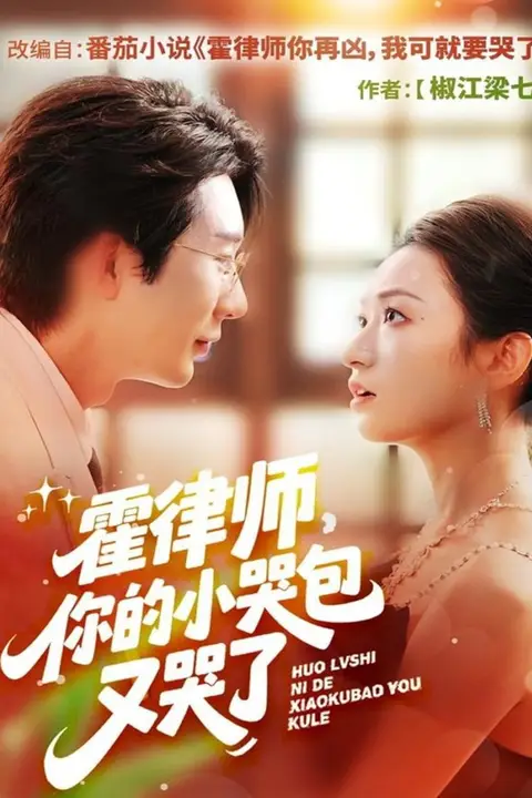 《霍律师你的小哭包又哭了》封面