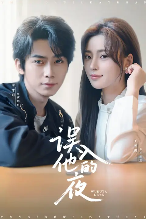 《误入他的夜（烬夏危情）》封面