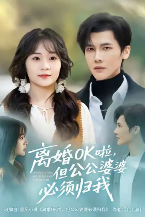 《离婚OK啦,但公公婆婆必须归我》封面