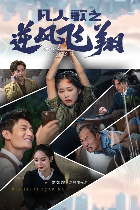 《凡人歌之逆风飞翔》封面