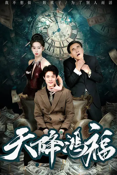 《天降鸿福》封面