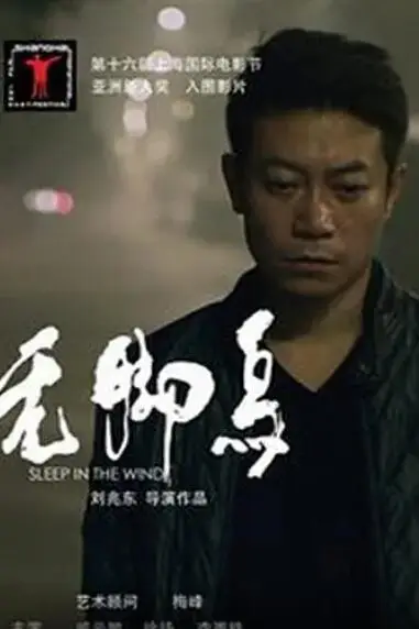 《无脚鸟》封面