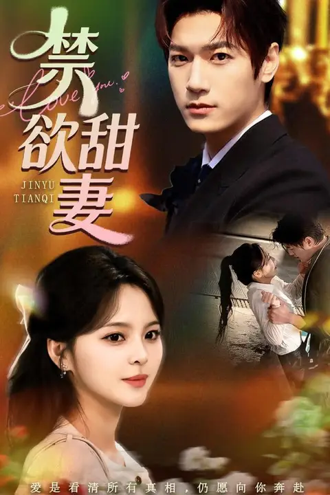 《禁欲甜妻》封面