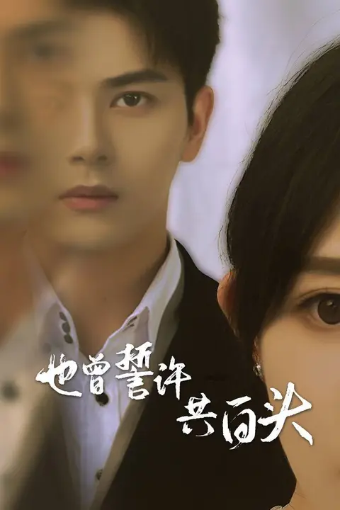 《也曾誓许共白头》封面