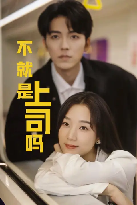 《不就是上司吗》封面