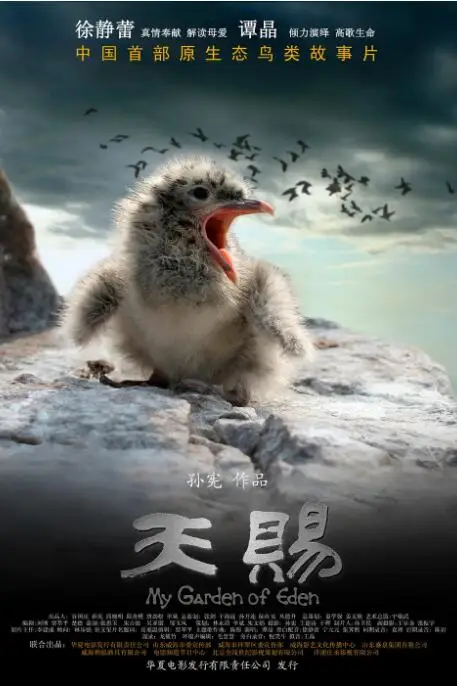 《天赐》封面