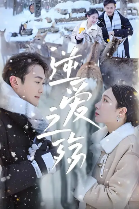 《逆爱之殇》封面